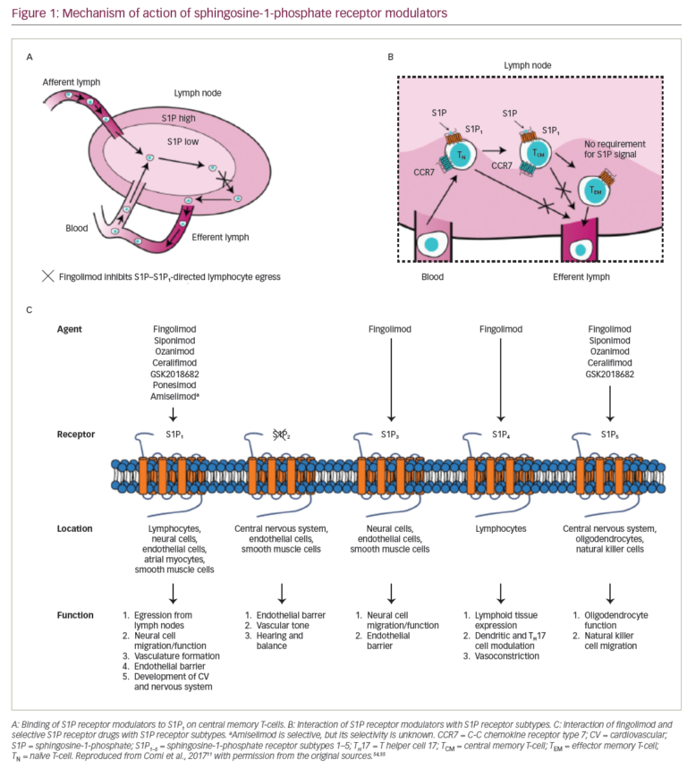 Sphingosine Phosphate Receptor Modulators In Multiple Sclerosis