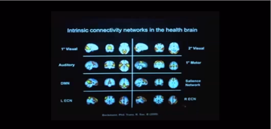 Imaging Connectivity Disruptions/Neurodegenerative Disease