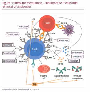 plasma diseases neuromuscular nervous immunomodulatory peripheral touchneurology