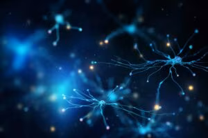 Neurology. Disorders and Diseases of the Nervous System Including the Brain, Spinal Cord and Nerves
