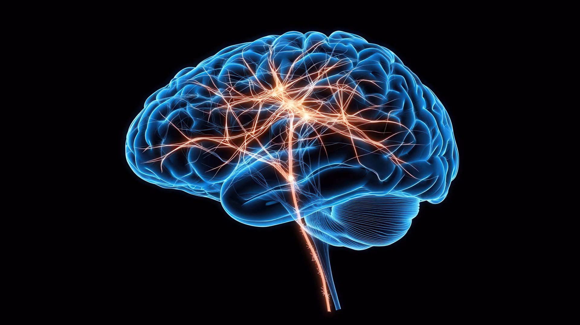 A digital rendering of a human brain with highlighted neural pathways and electric activity, visualizing brain function.