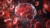 visualization of mini strokes and clots forming in the brain
