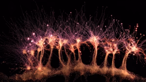 epilepsy