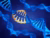sma gene therapy