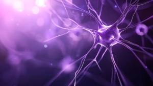 epilepsy