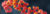 ataxia